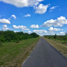 Roads that are like Bike Trails