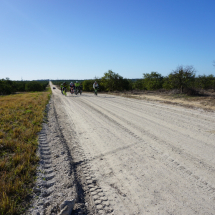 Quiet gravel roads through orange groves