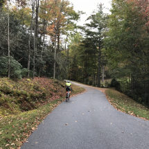 Yellow Mountain, NC