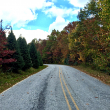 Nantahala National Forest