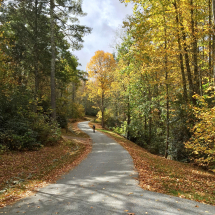 Yellow Mountain, NC