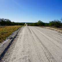 Unpaved Paradise in Florida