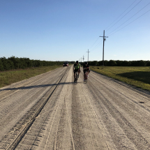 Gravel Paradise in the Heartland of Florida