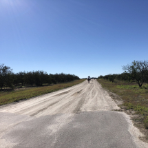 Gravel Paradise in the Heartland of Florida