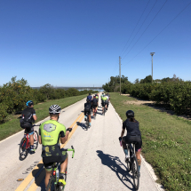 Orange Groves Paradise in the Heartland of Florida