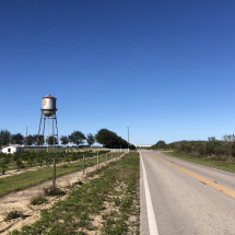 Perezluha Coaching Heartland of Florida Cycling Camp Day 3 (1-6-19)