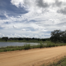 IMG_9039 Perezluha Coaching Clermont Hills Ride (8-14-21)