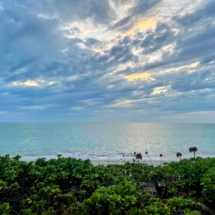 Heartland of Florida Cycling Camp (coming back January 2023)